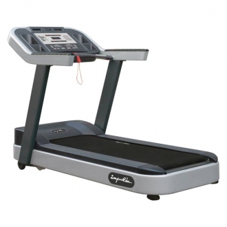 ������� ������� IMPULSE PT300