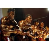 � ������� ������� ��������� ������ �� ������������
